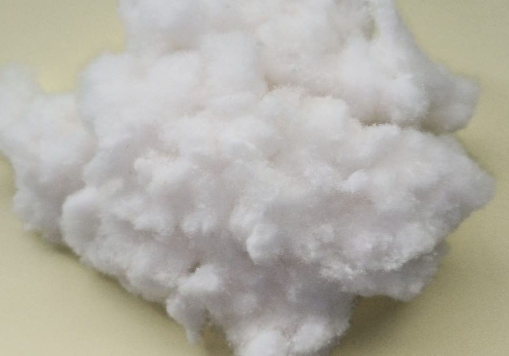 Fluffy Pulp