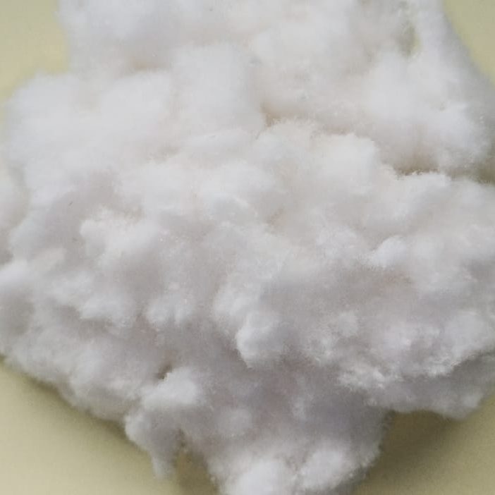 Fluffy Pulp